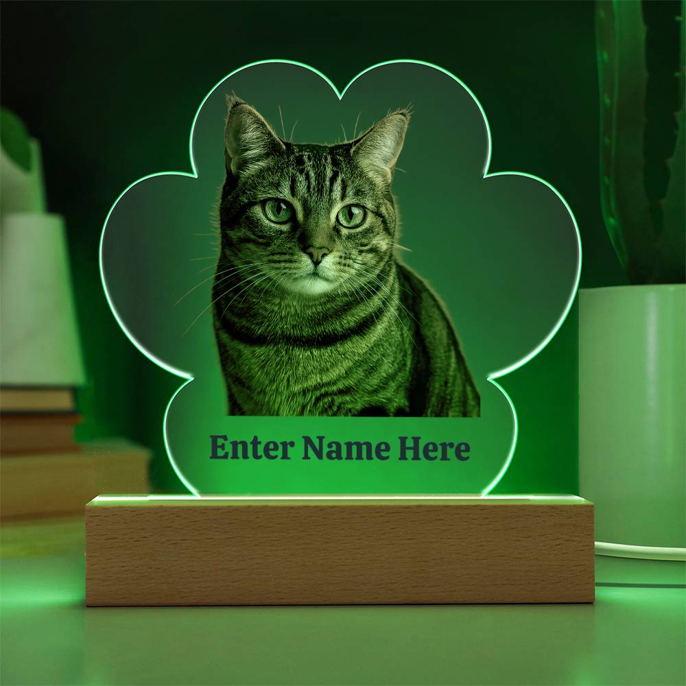 Paw Prints on the Heart