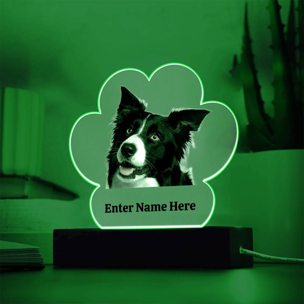 Paw Prints on the Heart