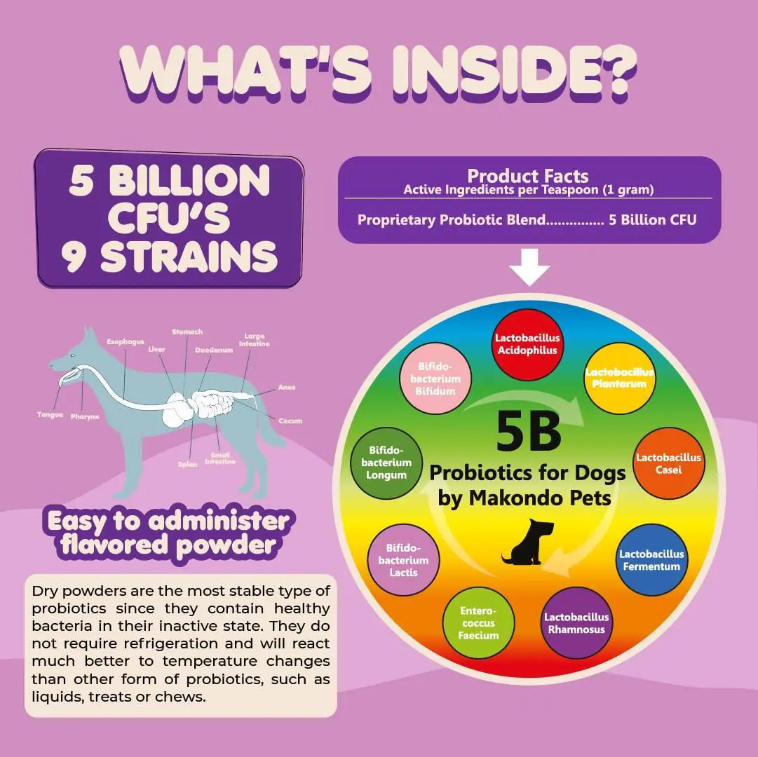 Multi-Strain Probiotics Powder for Dogs
