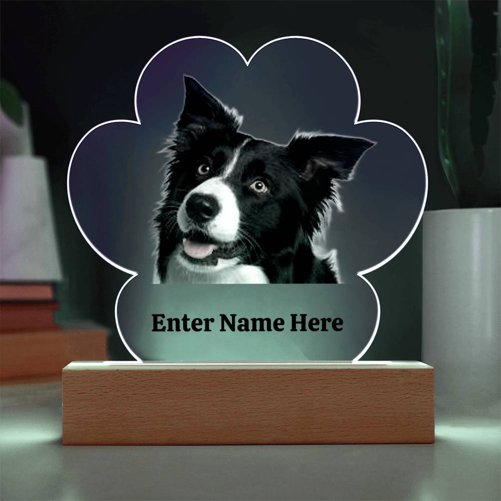 Paw Prints on the Heart