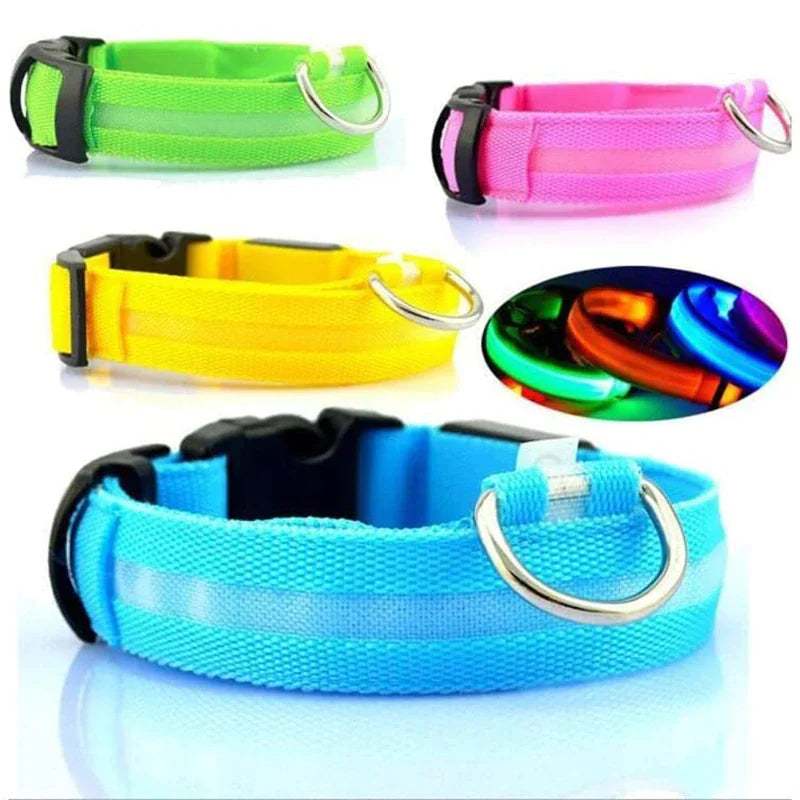 Glowing Safeguard LED Collar