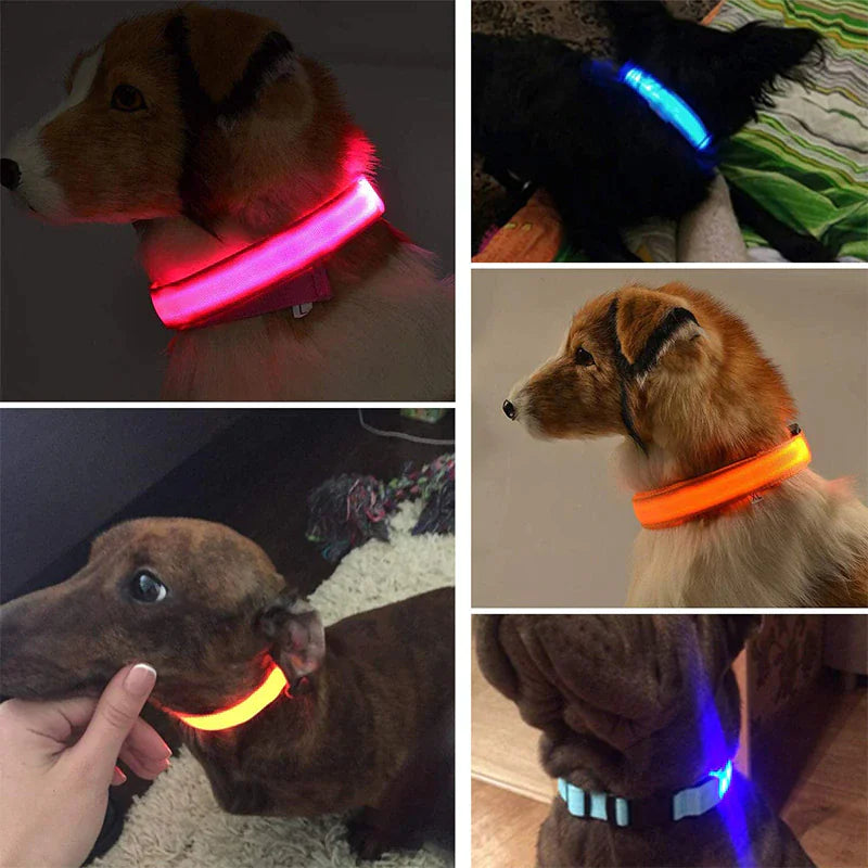 Glowing Safeguard LED Collar