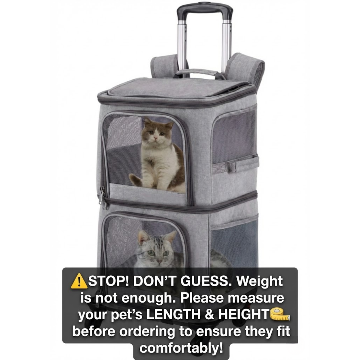 The "Double-Decker" Mobile Pet Condo: No More Sibling Rivalry! 🚌🐈