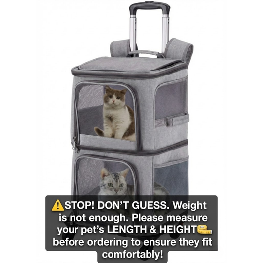 The "Double-Decker" Mobile Pet Condo: No More Sibling Rivalry! 🚌🐈