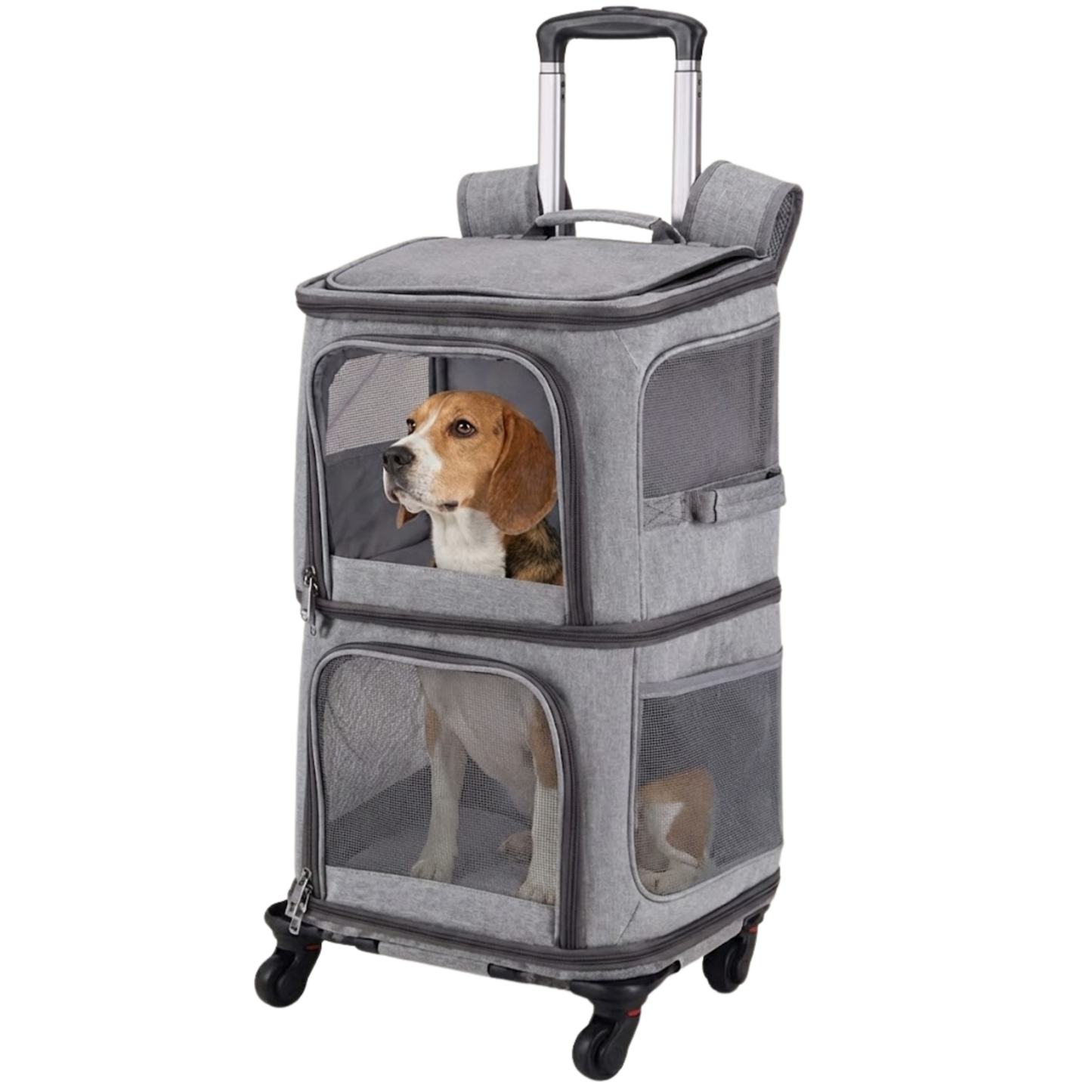 The "Double-Decker" Mobile Pet Condo: No More Sibling Rivalry! 🚌🐈