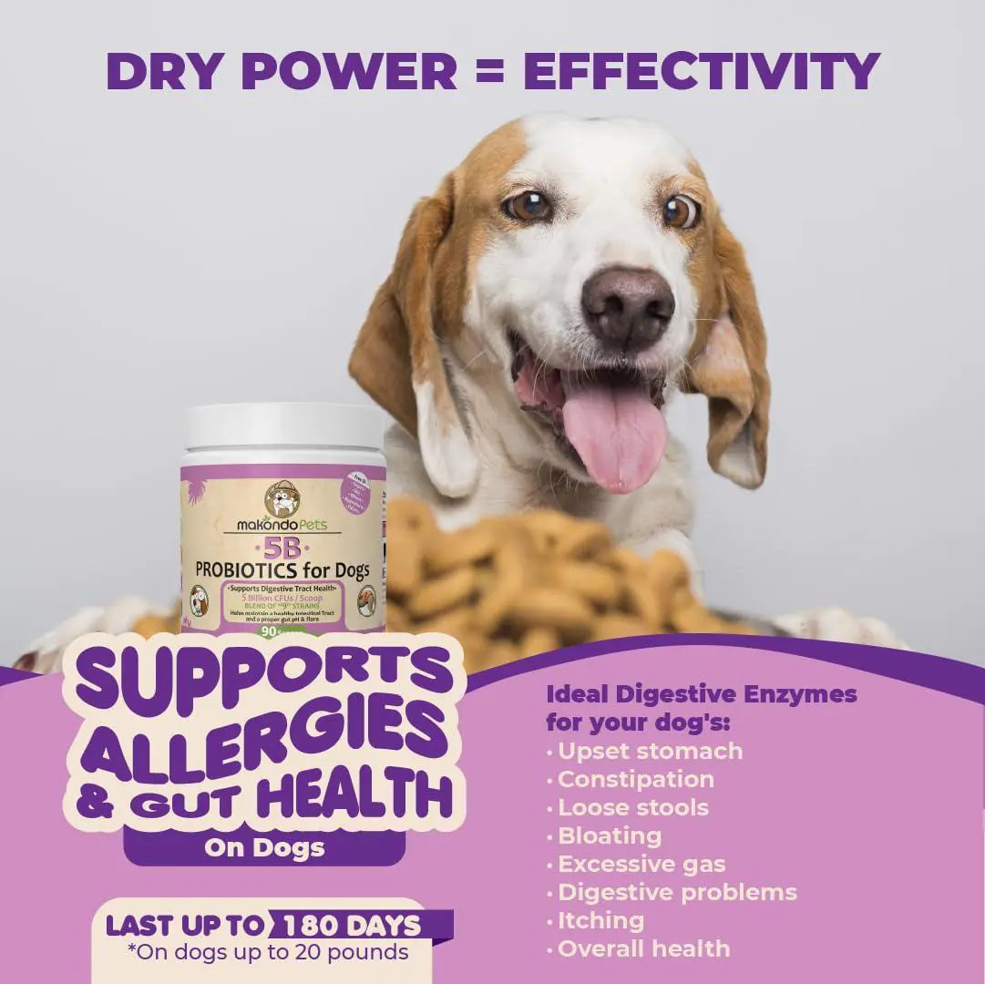 Multi-Strain Probiotics Powder for Dogs