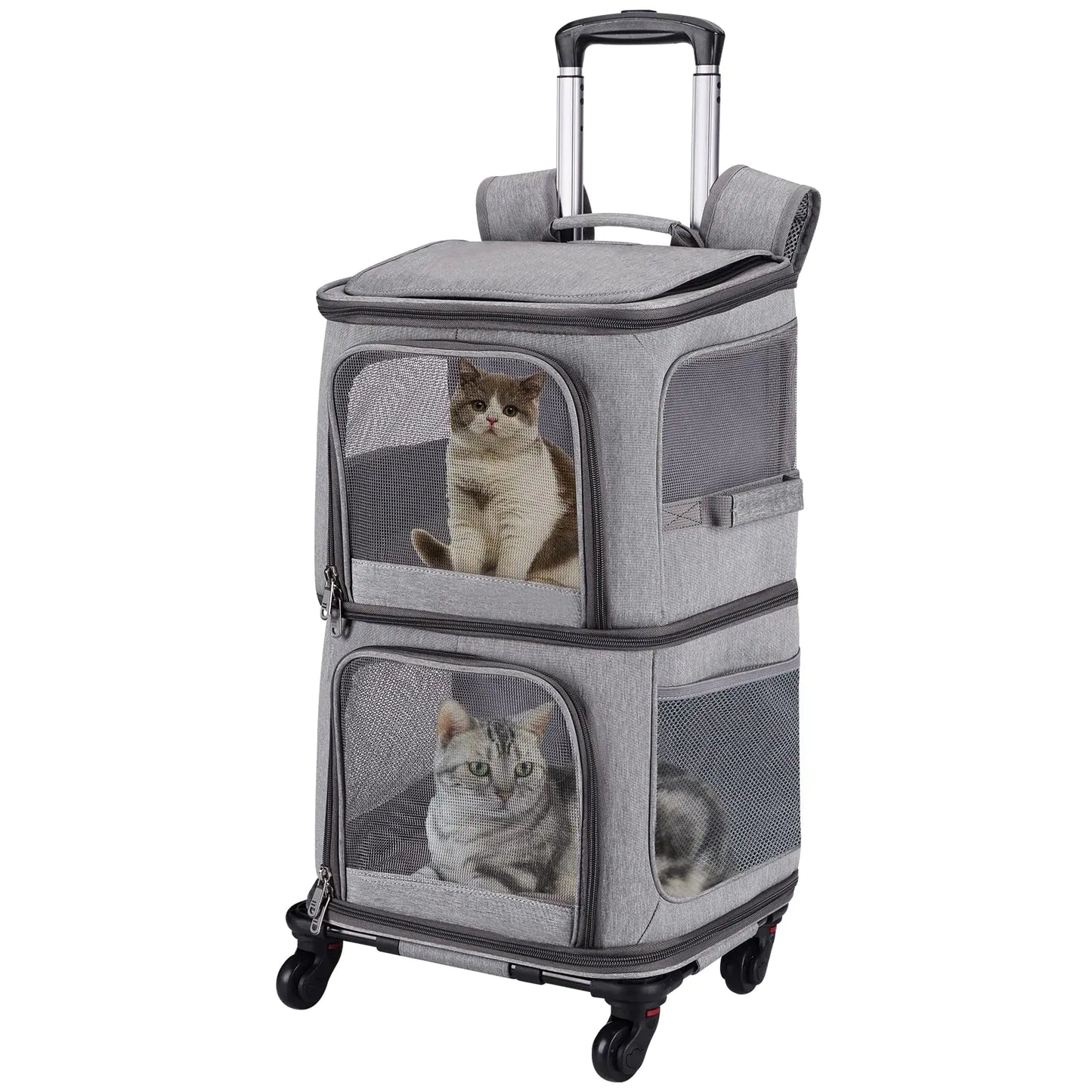 The "Double-Decker" Mobile Pet Condo: No More Sibling Rivalry! 🚌🐈