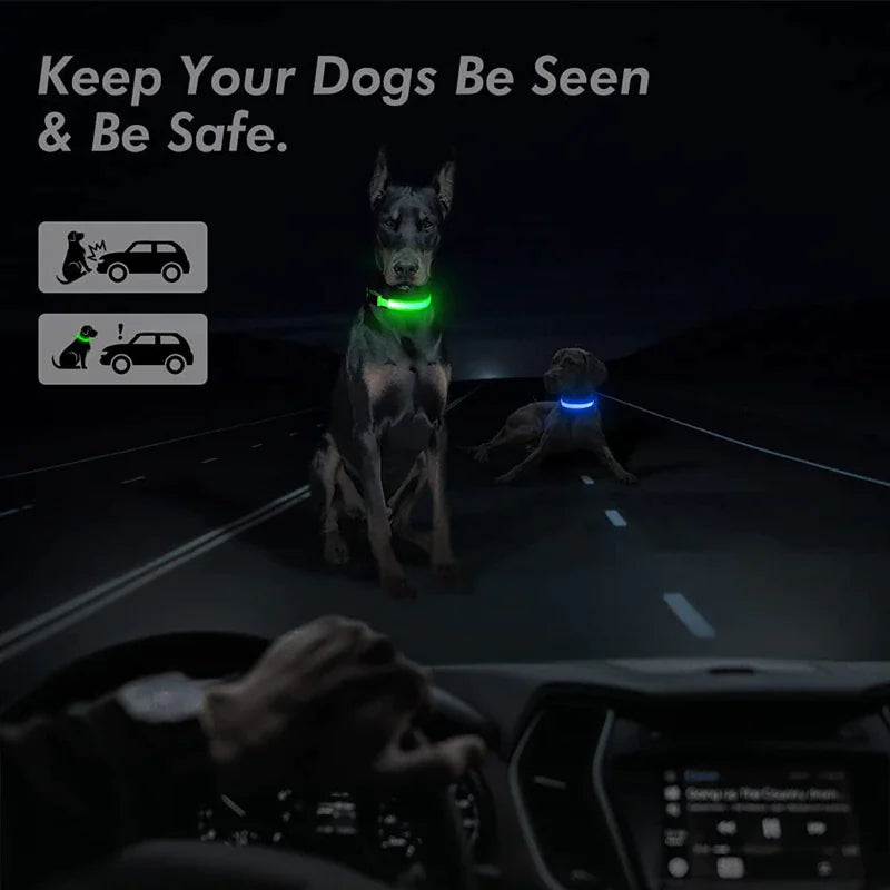 Glowing Safeguard LED Collar