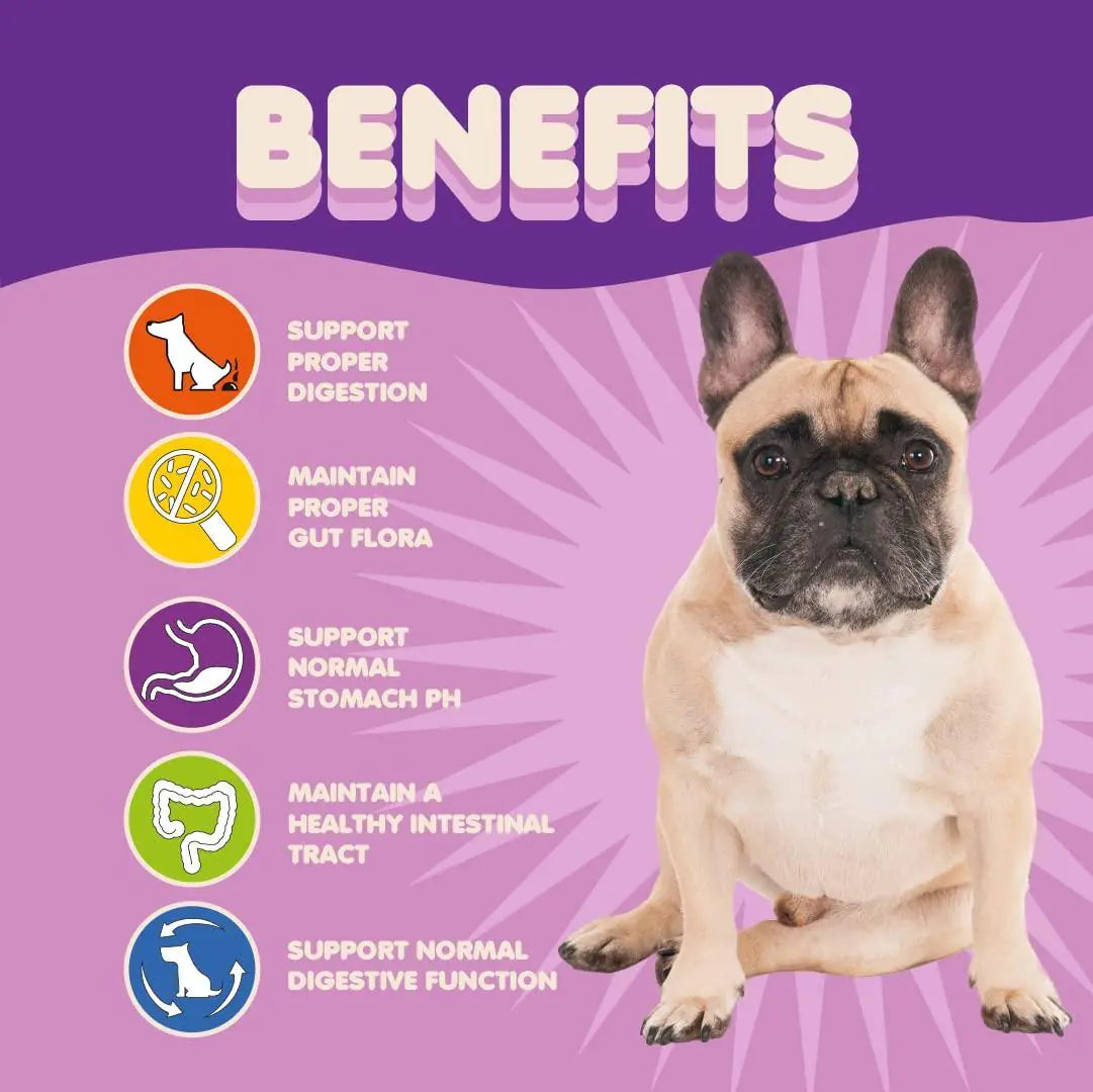 Multi-Strain Probiotics Powder for Dogs