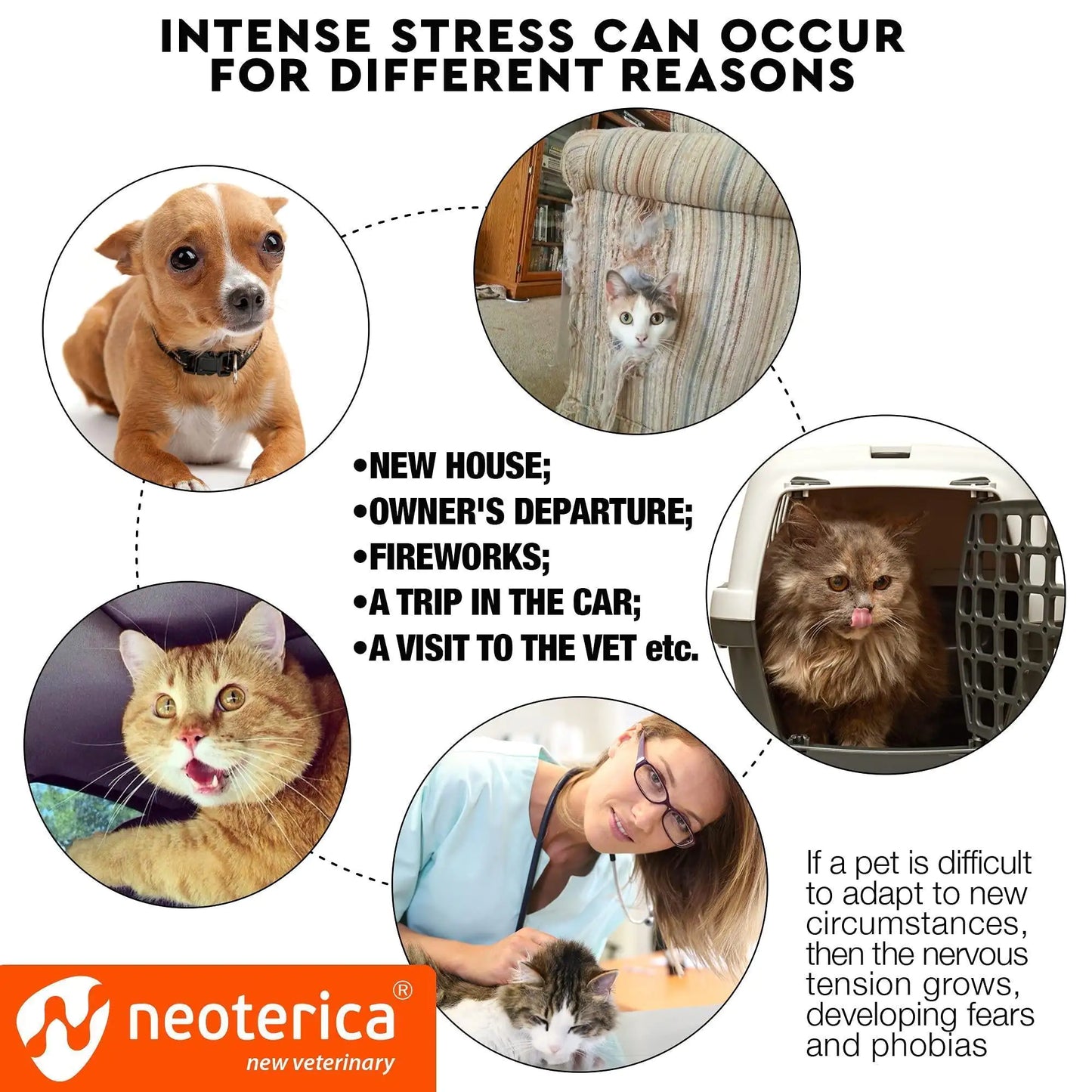 Anti-Stress & Calming Cat Pheromone Spray