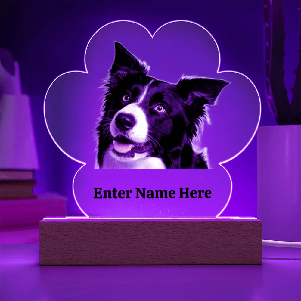 Paw Prints on the Heart