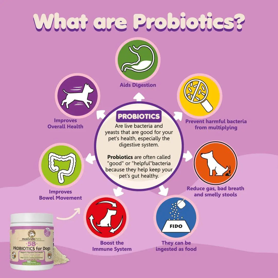 Multi-Strain Probiotics Powder for Dogs
