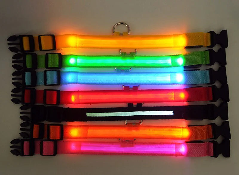 Glowing Safeguard LED Collar