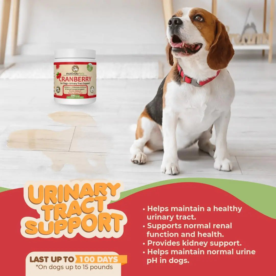 Cranberry Canine Care: UTI & Kidney Relief