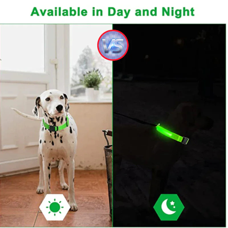 Glowing Safeguard LED Collar