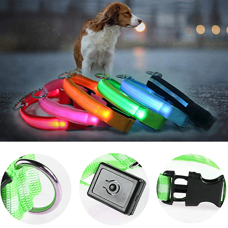 Glowing Safeguard LED Collar