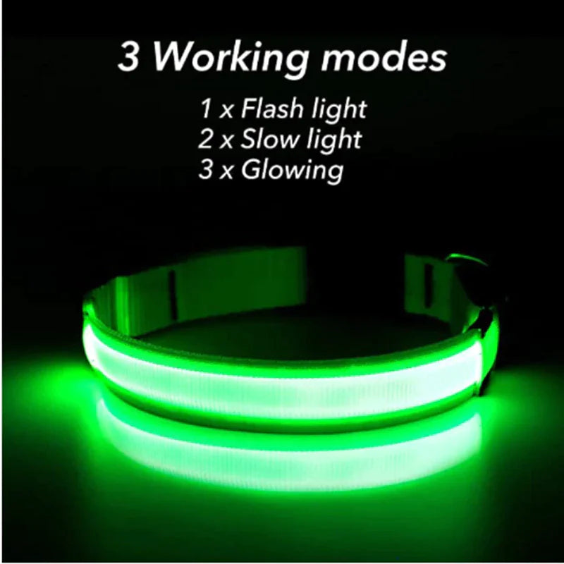 Glowing Safeguard LED Collar