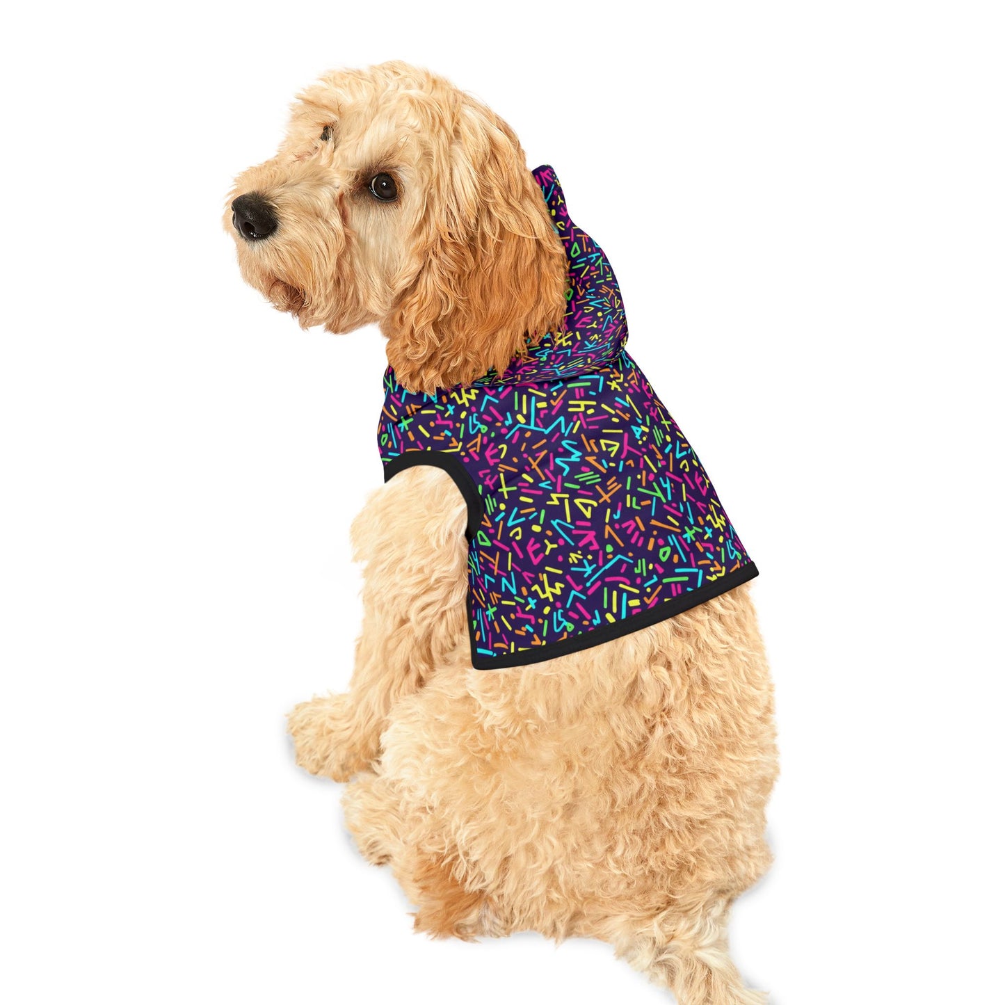 Arcade Confetti Pet Hoodie