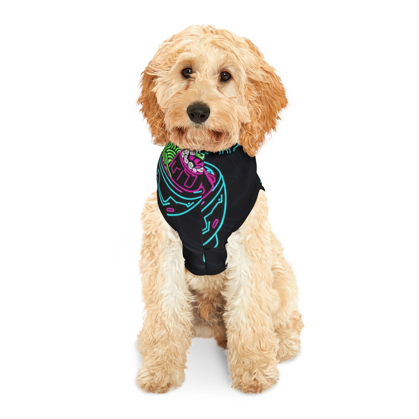 Electric Ramen Pet Hoodie