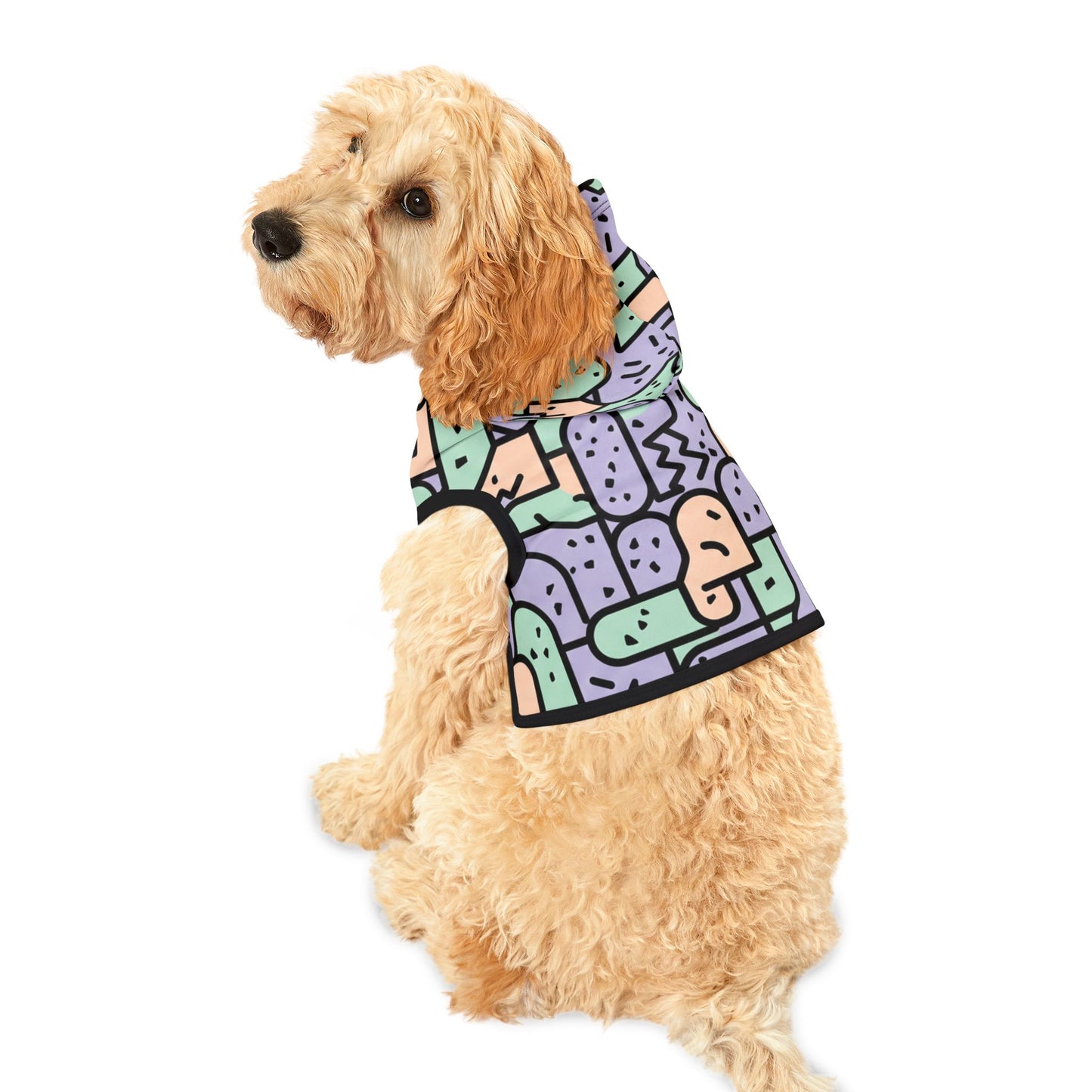 Retro Pet Hoodie