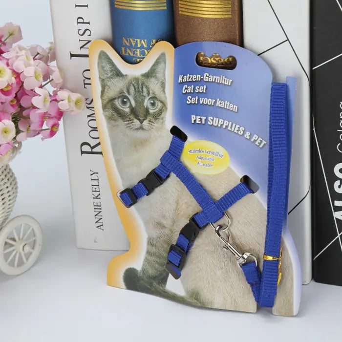 The "Yes, You Can Walk a Cat" Starter Pack 😼