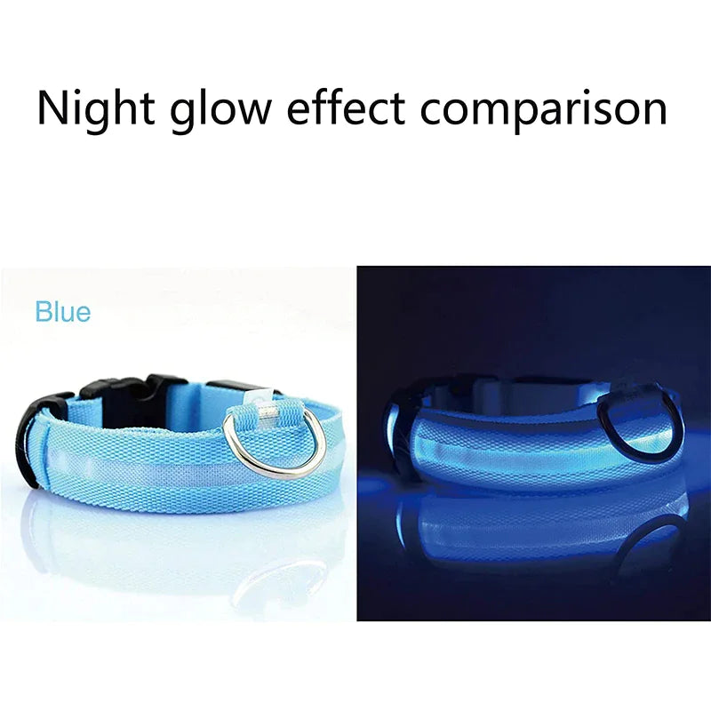 Glowing Safeguard LED Collar